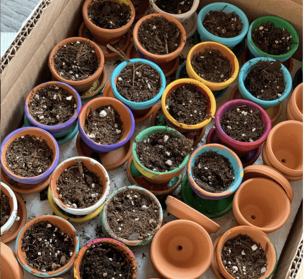 The Planting Smiles project allows for residents to socialize with others while they plant their own terra cotta seeds and decorate its pot. (Courtesy Wise Owls Initiative)