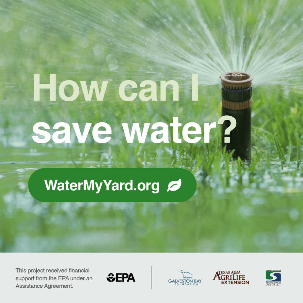 WaterMyYard app now available in 4 Houston-area counties for customized irrigation tips