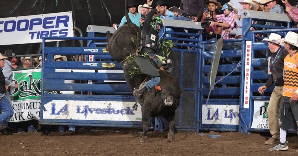 Bull-riding competition and more events happening in Lewisville, Flower Mound and Highland Village