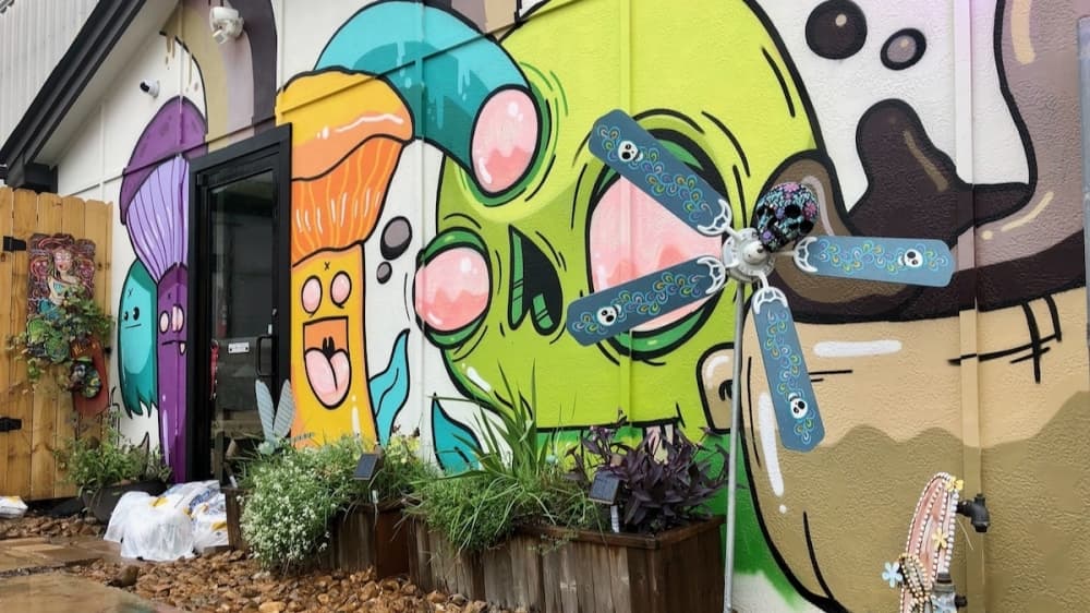 Soulfreak Studio Cafe: Coffee shop aims to be home for all