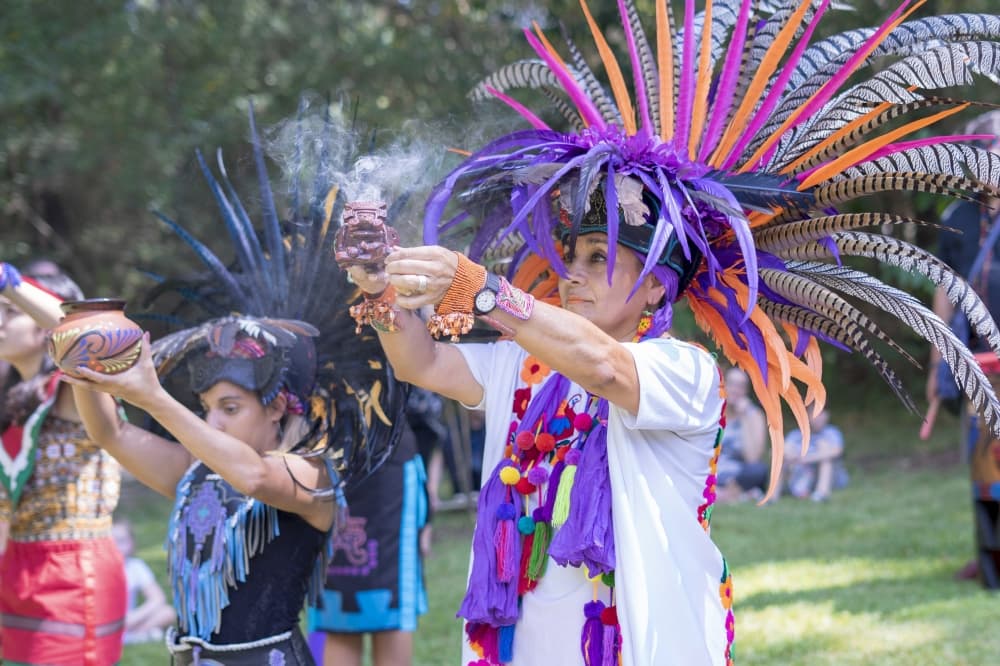 Attend a pickle festival, celebrate Native American Heritage Day: 8 things to do in the Lake Houston area throughout August, September