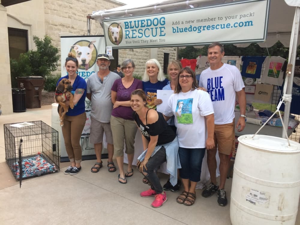 Local animal rescues in Round Rock, Pflugerville and Hutto in need of fosters, adopters