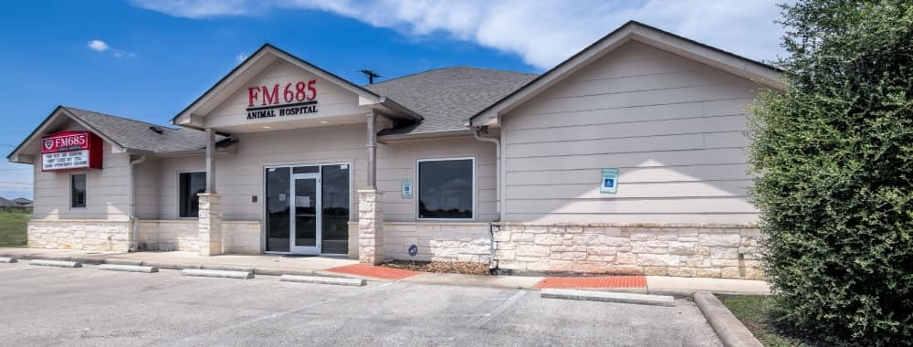 Courtesy FM 685 Animal Hospital 
