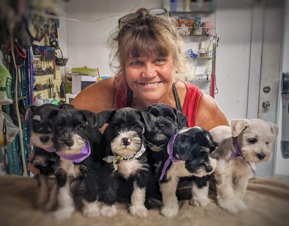 A noncomprehensive guide to pet-based businesses in the Round Rock, Pflugerville and Hutto area
