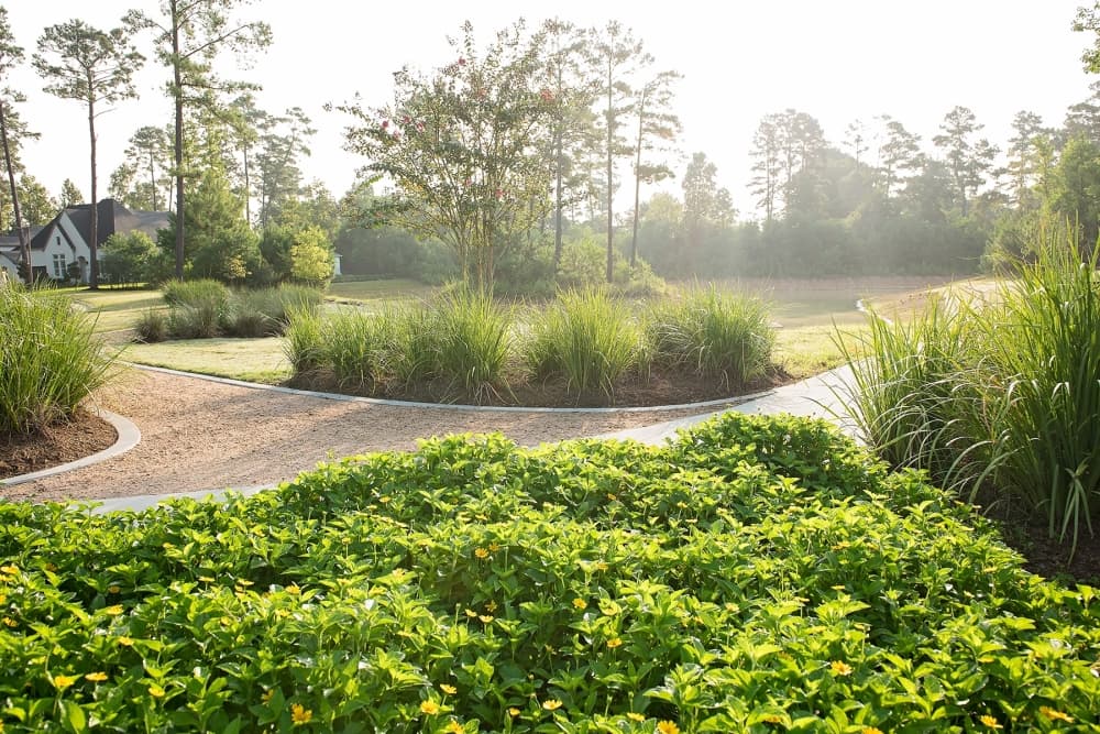 The Woodlands Township and Howard Hughes Corp. announce opening of Monarch Park