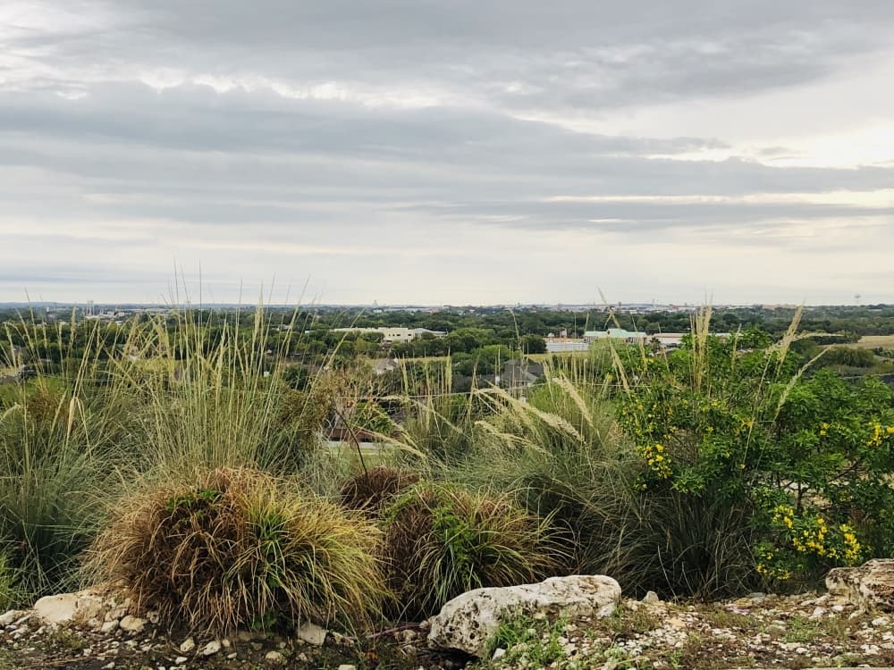 New Braunfels’ Fischer Park selected as a finalist in park improvement competition