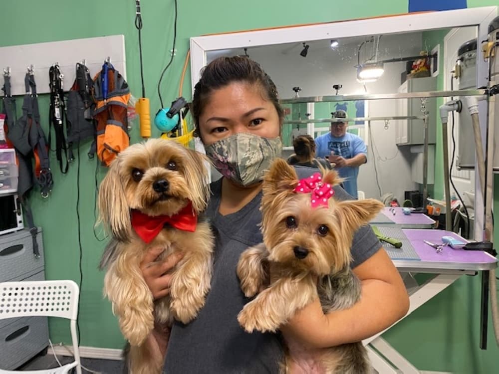 Paws of Fury coming soon to Katy
