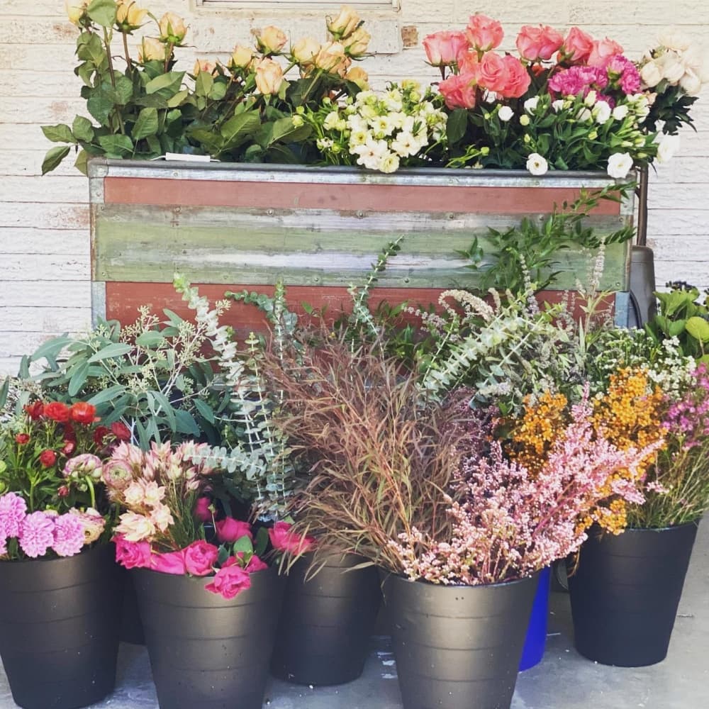 Floral gift shop Meadow to Market Floral and Co. to hold grand opening Sept. 11