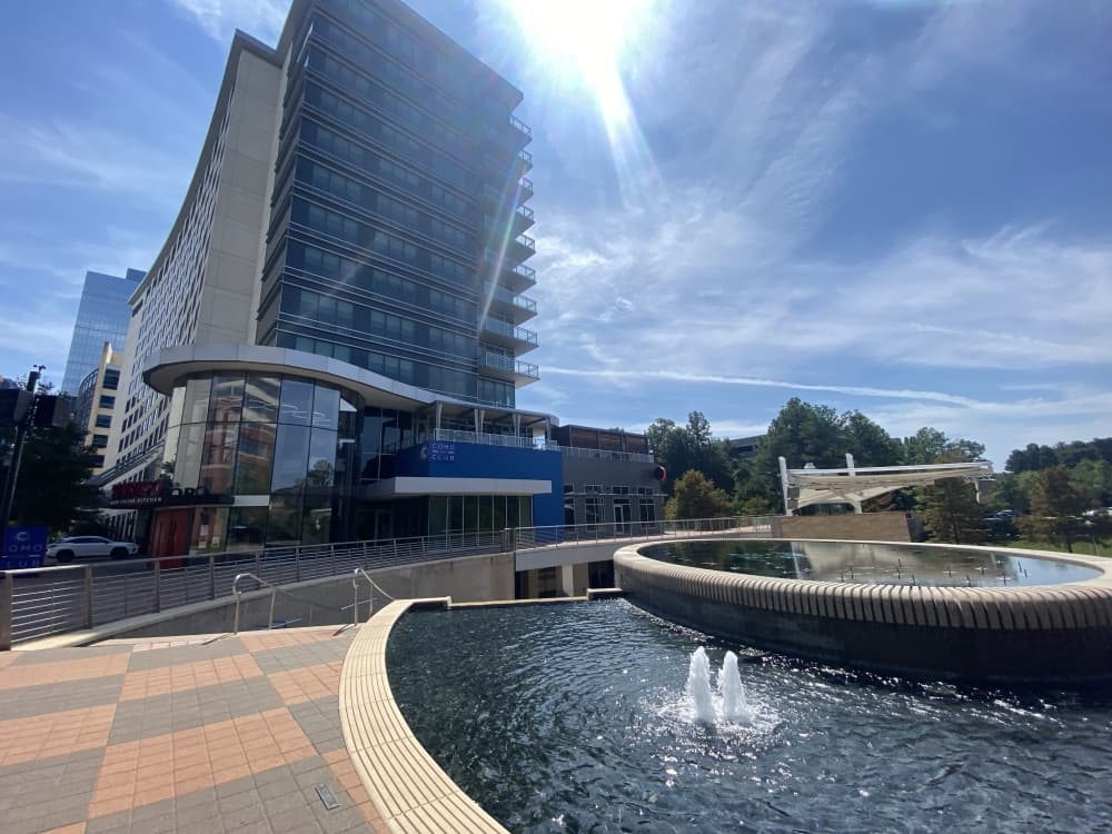Debate ensues over costs of incorporation in The Woodlands