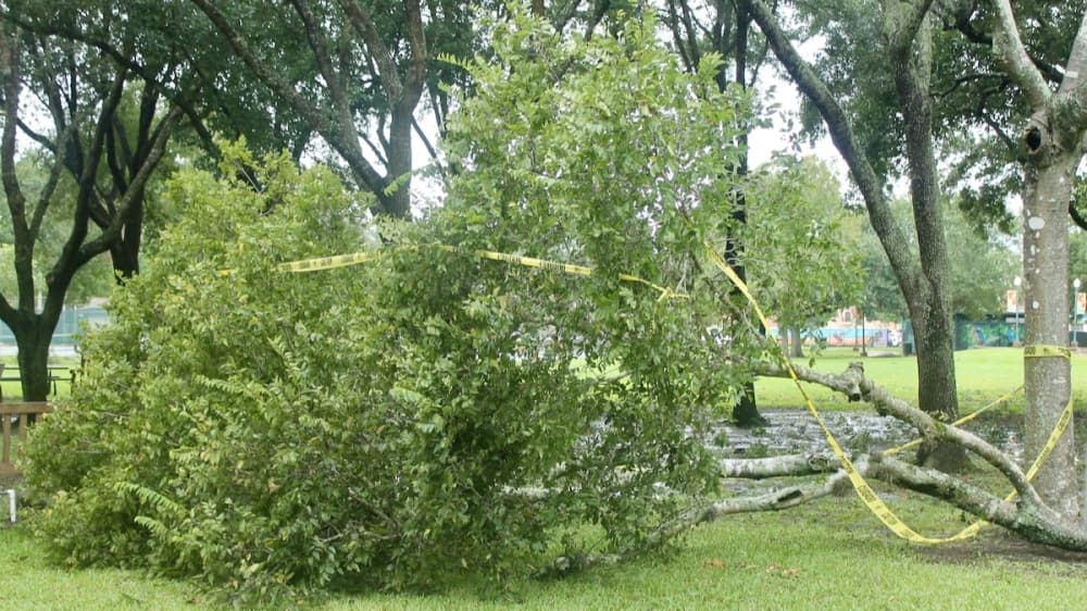 Pearland, Friendswood report no injuries or deaths from Hurricane Nicholas