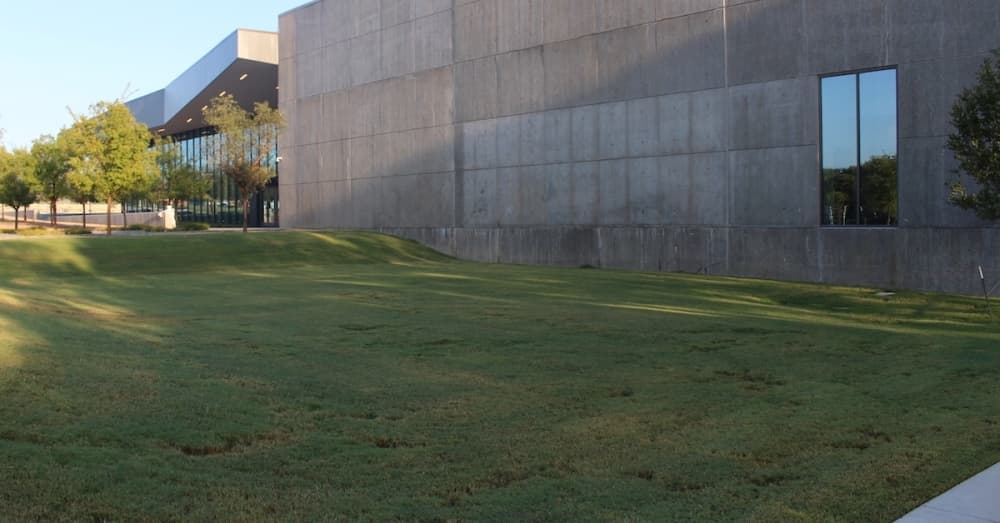Grassy lawn.