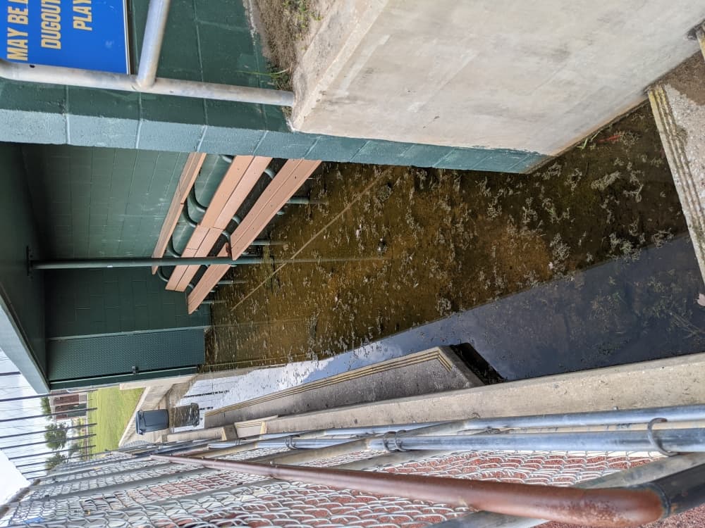 Big League Dreams' dugouts will be drained of standing water. (Jake Magee/Community Impact Newspaper)