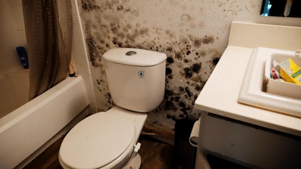 City pursuing improvements to handling of Austin renters' mold complaints