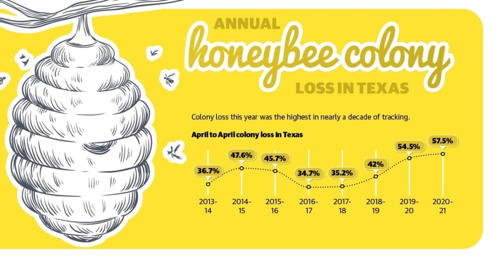 Beekeepers in Tomball, Magnolia area say freeze effects were mixed
