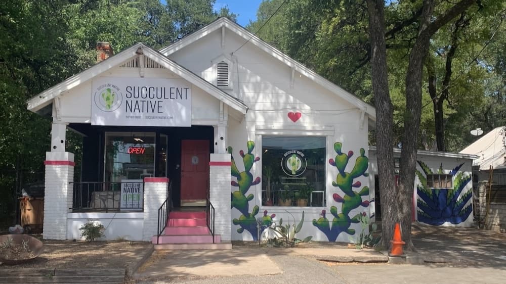 Succulent Native opens new South Lamar shop and more South Austin business news