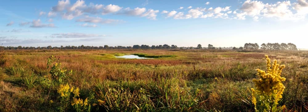 Katy Prairie Conservancy receives $2M grant for Jackson County parcel