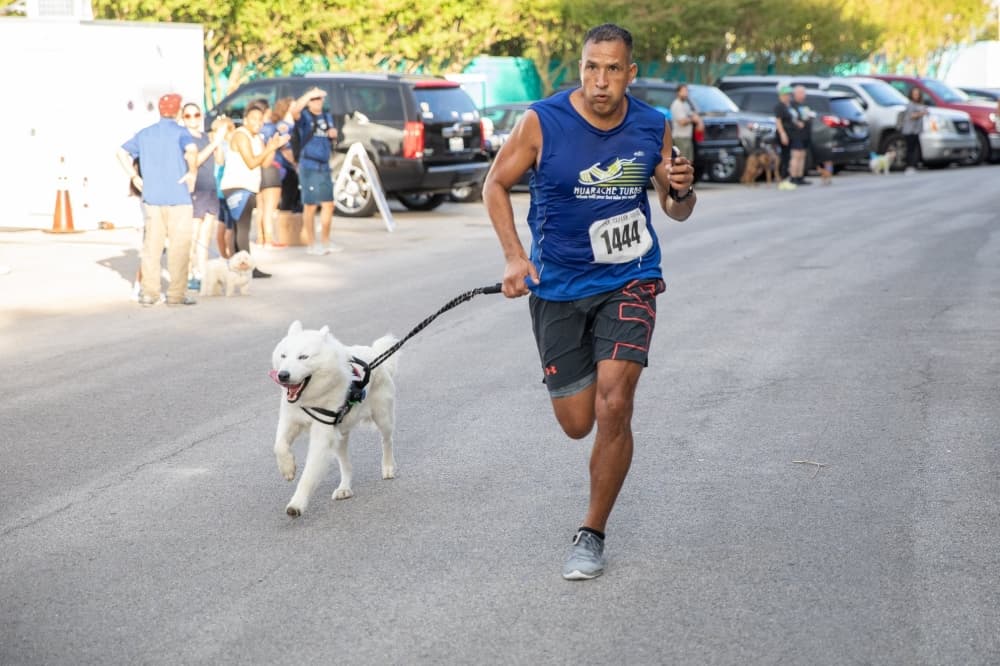 Alamo Heights event to benefit pet spaying, neutering, vaccinations