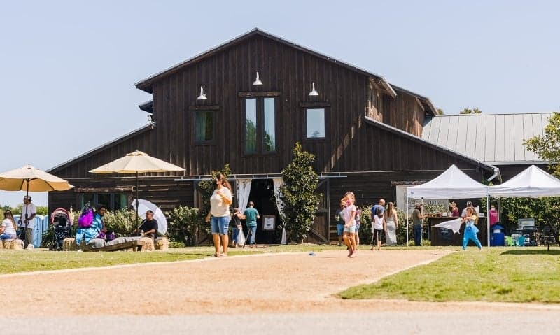 5 things to do in Round Rock this weekend, Oct. 1-3
