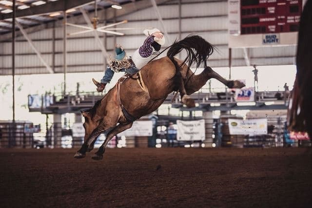 4 Sugar Land events to attend this weekend, Oct. 1-3