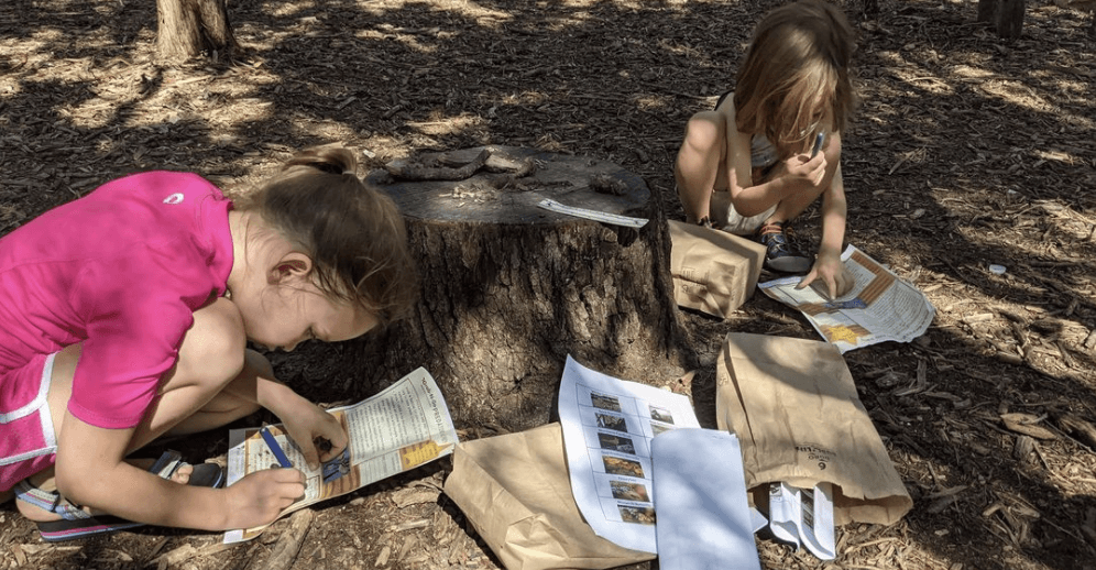 In-person activities return to Hardberger Park