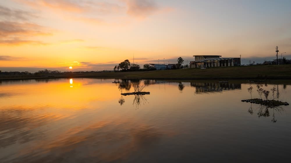 GUIDE: Pearland and Friendswood destinations worth exploring