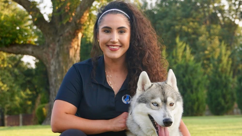 Dog Training Elite set to open soon in Frisco