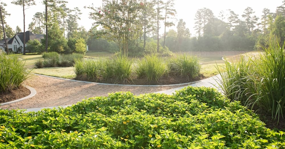 Township’s new Monarch Park aims to create pollinator habitat