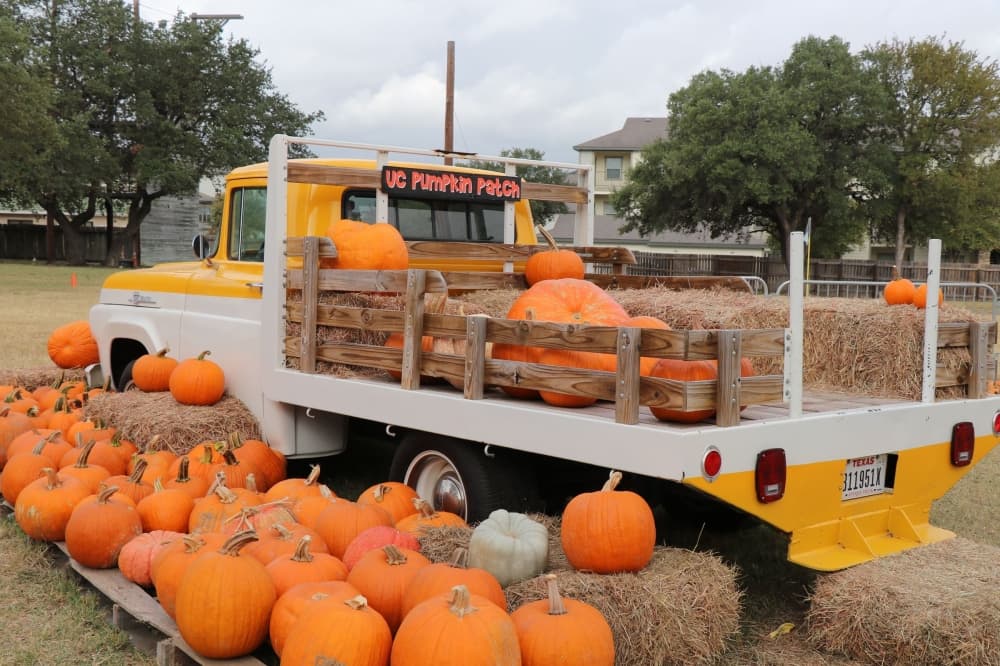 Universal City Pumpkin Patch now open for 2021 season