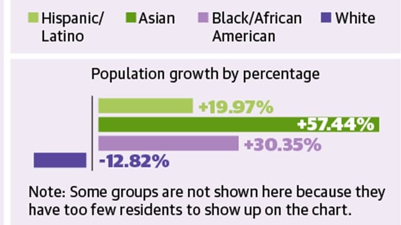 Data from the 2020 census reveals growth across non-white groups in Plano