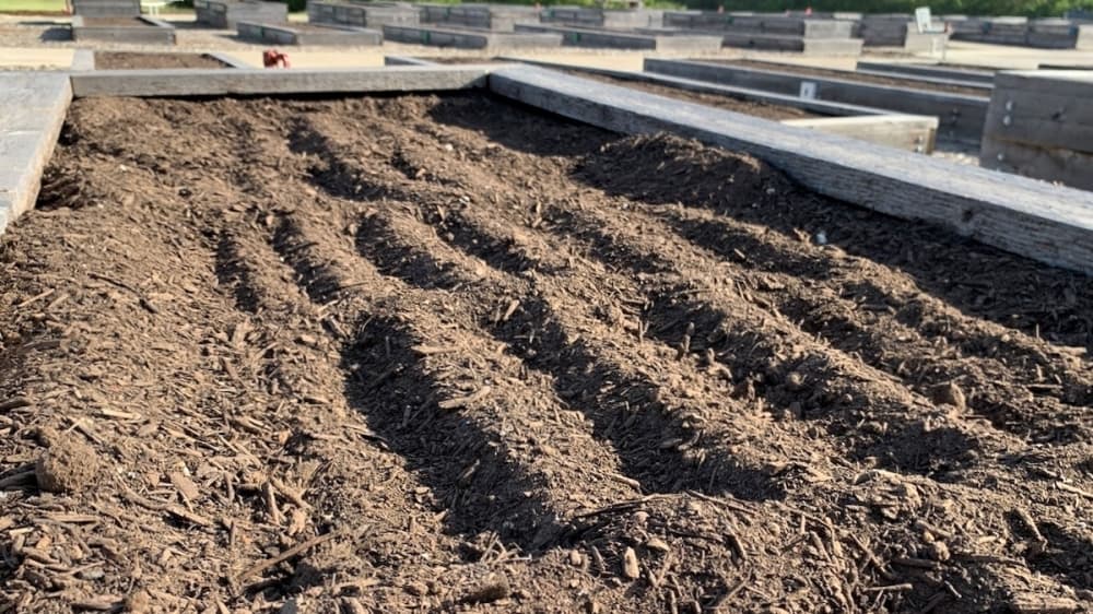 Both small and large boxes will be available at The Harvest at Frisco Commons. (Courtesy city of Frisco)