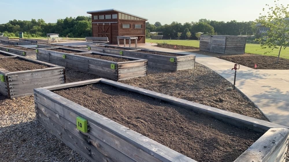 Reservations open for boxes at The Harvest at Frisco Commons, a new community garden
