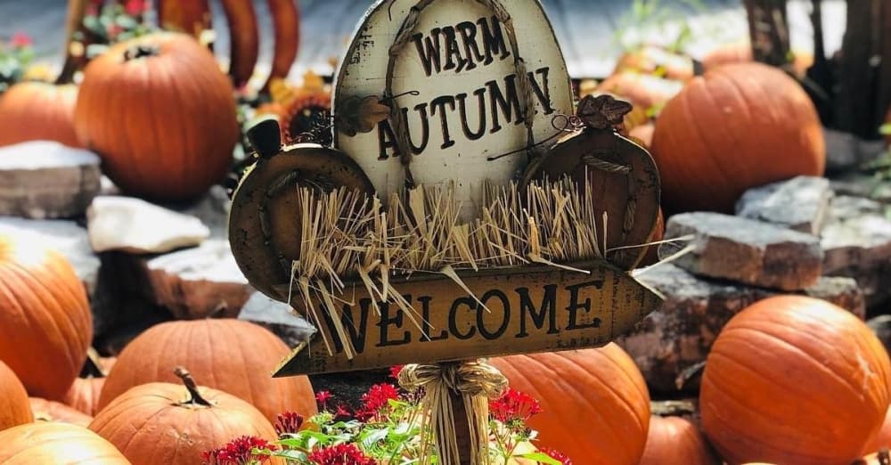 The Alley on Bitters hosts pumpkin patch, Oktoberfest