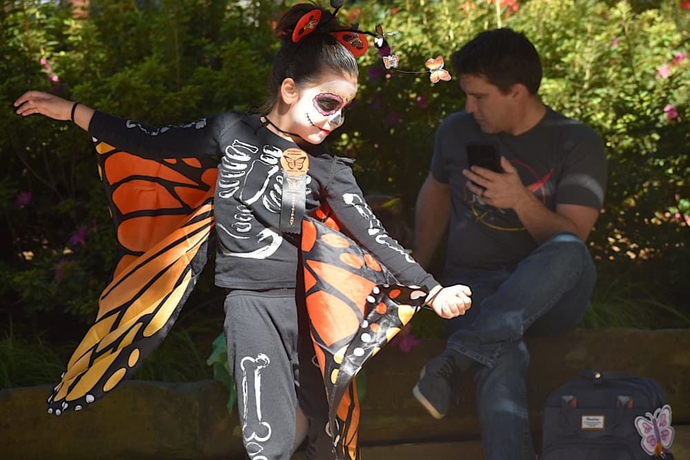 GALLERY: Kids, families enjoy return of Butterfly Flutterby event in Grapevine