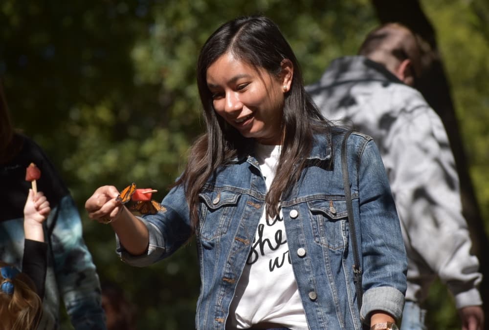 Fatima Sarosi looks at butterflies at Grapevine Botanical Gardens at Heritage Park. (Anjali Krishna/Community Impact Newspaper)