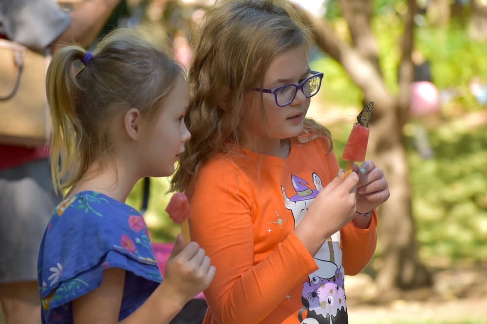 Madison Beer and Ella Wilmore inspect a butterfly at Butterfly Flutterby at Grapevine Botanical Gardens at Heritage Park. (Anjali Krishna/Community Impact Newspaper)