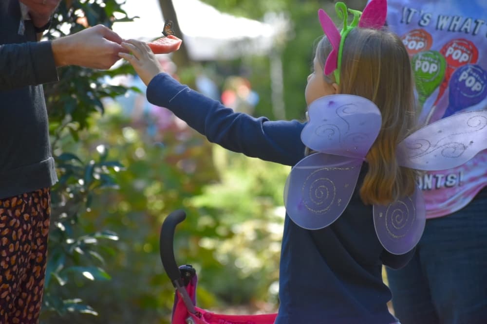 Elle Seward accepts a butterfly from her dad at Butterfly Flutterby. (Anjali Krishna/Community Impact Newspaper)