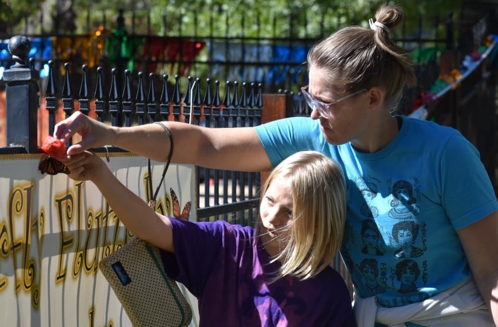 Asher Doyle and her mother, Amanda, try to catch a butterfly. (Anjali Krishna/Community Impact Newspaper)