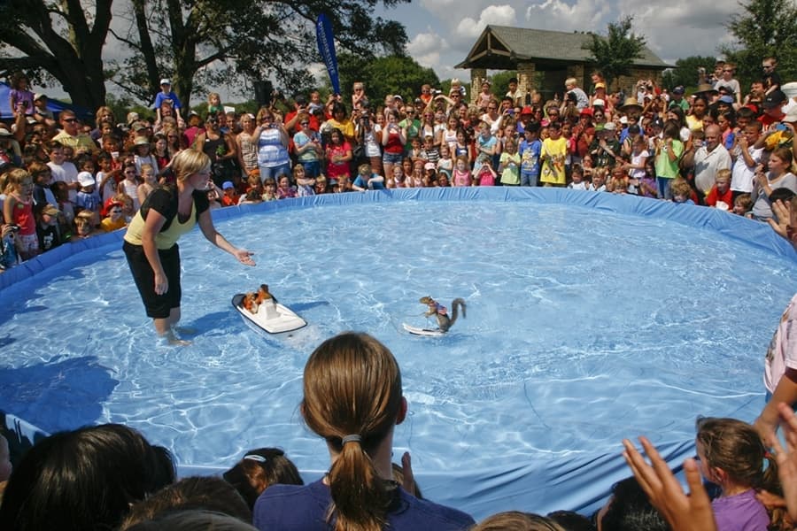 Nature Fest, Oktoberfest, trunk or treat: 6 events to attend in Cy-Fair this weekend, Oct. 22-24