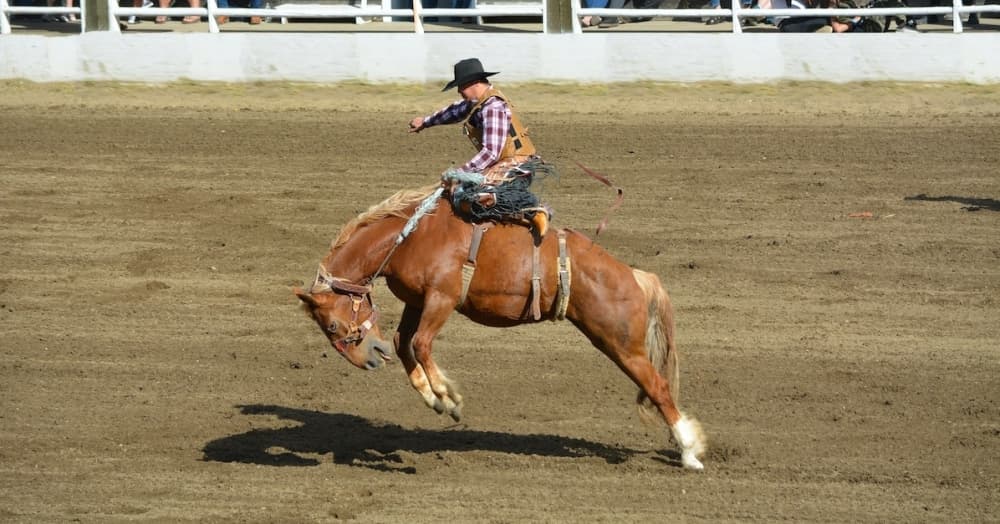 CI NATION ROUNDUP: Inaugural Williamson County Fair and Rodeo underway; delivery drones coming to Frisco and more top news