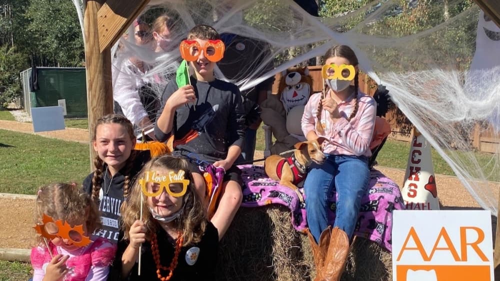 Fall festivals, CAREfest and parades: 12 happenings in Tomball, Magnolia to attend through mid-November