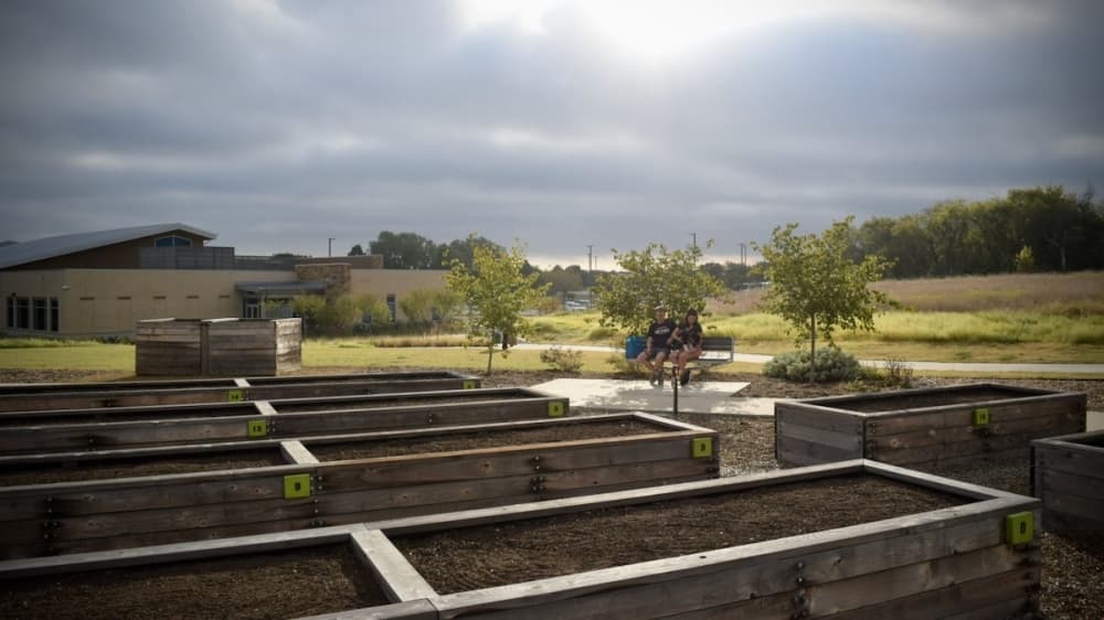 The Harvest at Frisco Commons has room to expand, according to Play Frisco. (Matt Payne/Community Impact Newspaper)