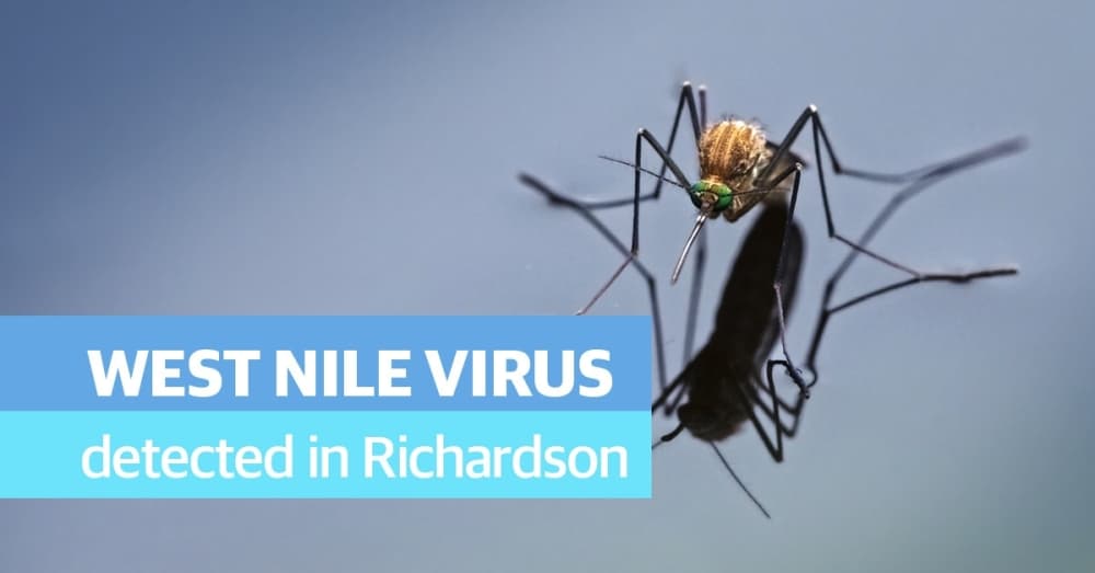 Richardson to spray Oct. 26-27 after mosquito trap tests positive for West Nile virus