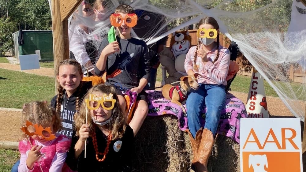 Celebrate Howl-O-Ween, charity casino game night: 6 events in Tomball, Magnolia on Oct. 29-30
