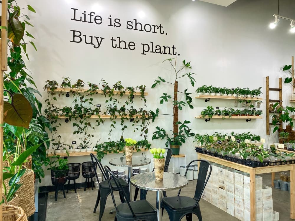 Cultivar sells coffee and a variety of plants and home decor.