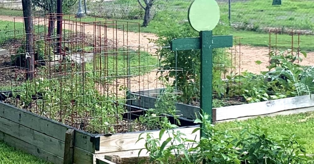 Green Spaces Alliance, Tito’s Vodka revitalize San Antonio community gardens