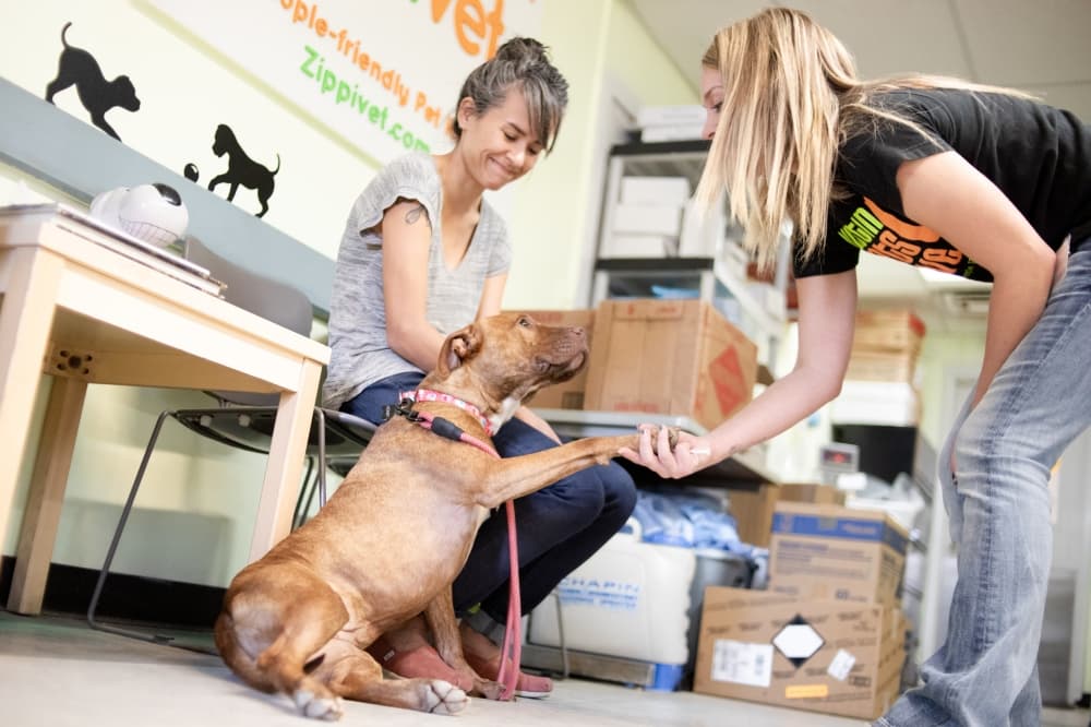 Austin City Council signs resolution supporting negotiations with Austin Pets Alive