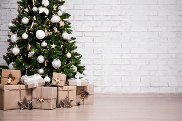 Operation Polar Express provides Schertz residents way to keep holiday packages safe