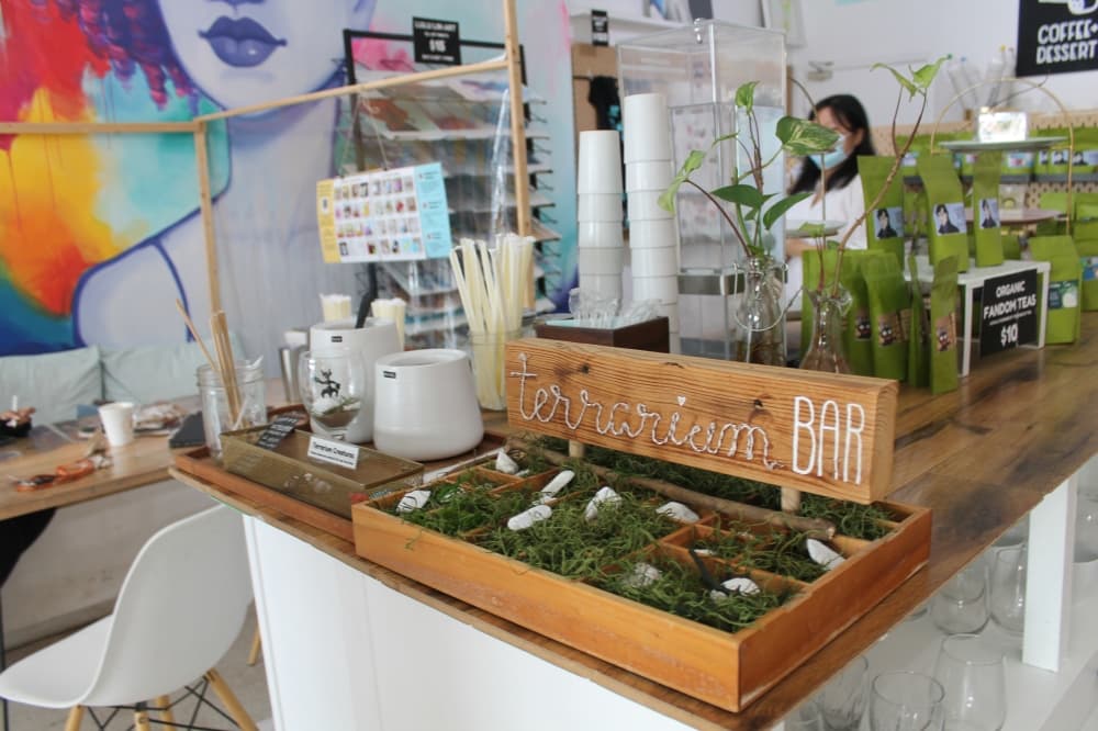 Making terrariums is one of the many DIY projects the cafe offers. (Sierra Rozen/Community Impact Newspaper)