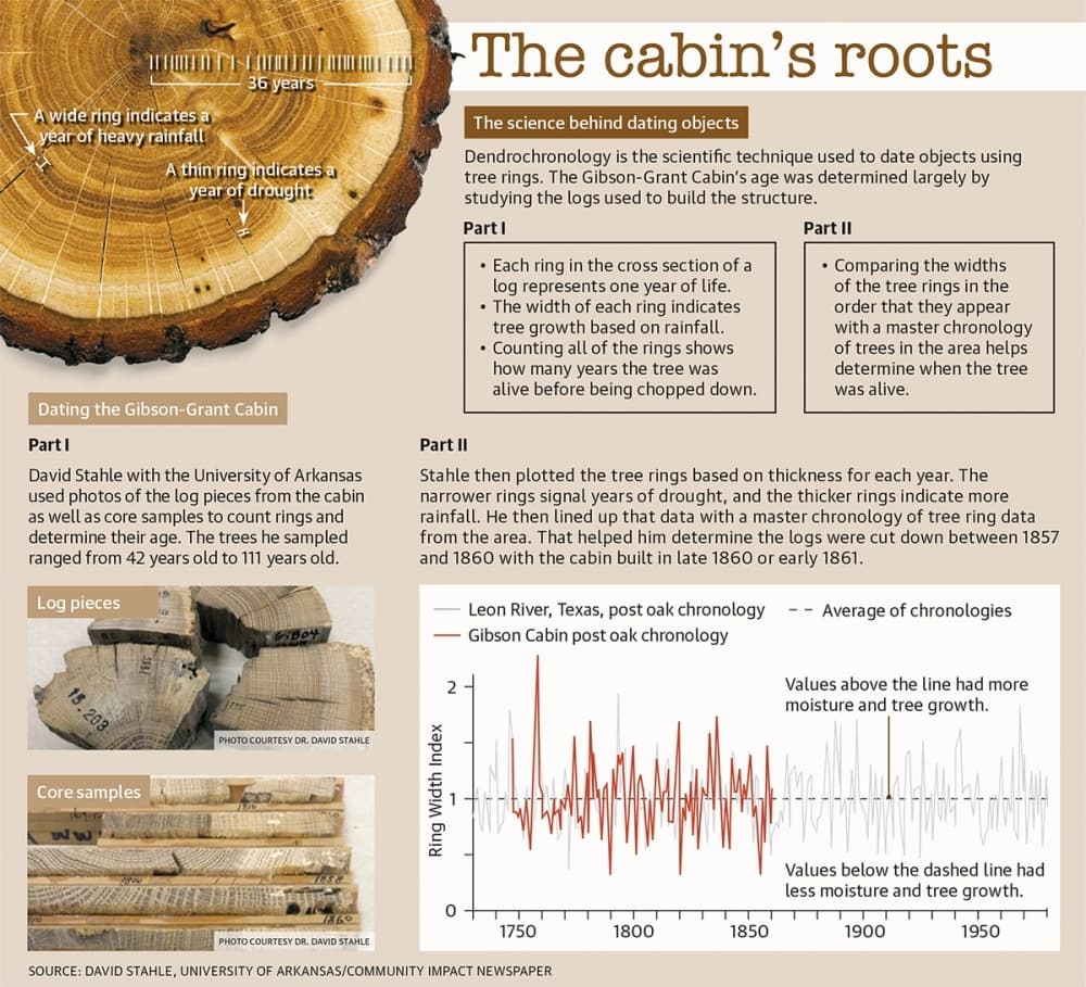 graphic about tree rings