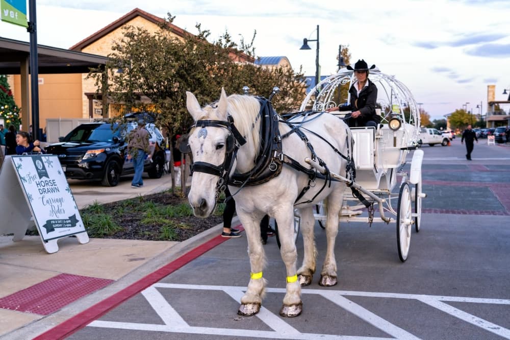 Take in a concert, join a holiday festival or plan a date night with these events in Lewisville, Flower Mound and Highland Village